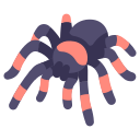 Örümcek İlaçları